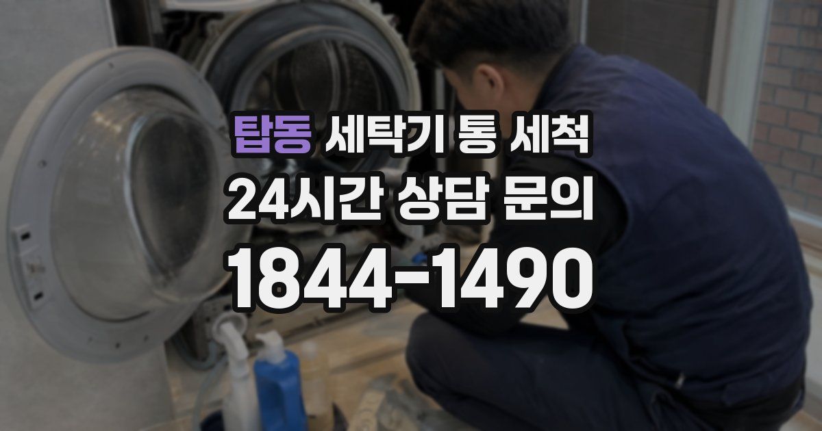 탑동 세탁기 통 세척