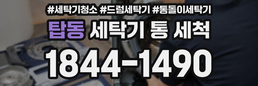 탑동 세탁기 통 세척
