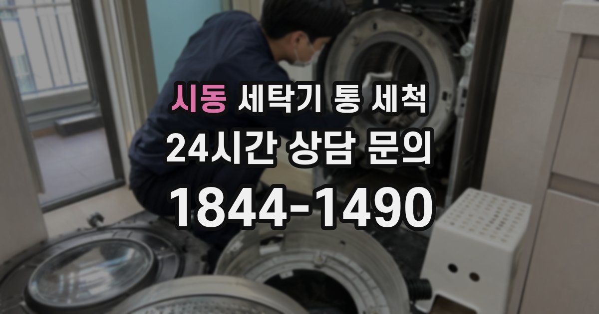 시동 세탁기 통 세척