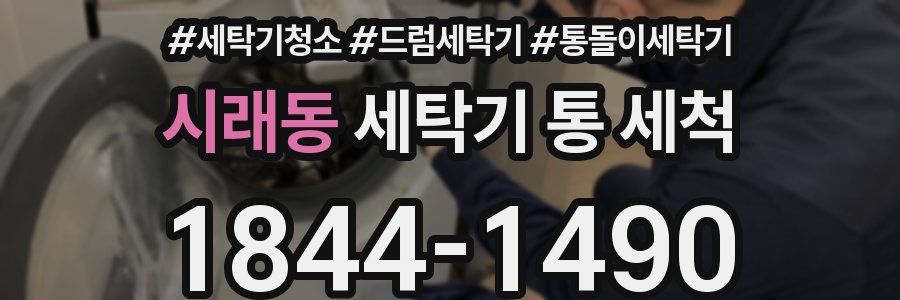 시래동 세탁기 통 세척