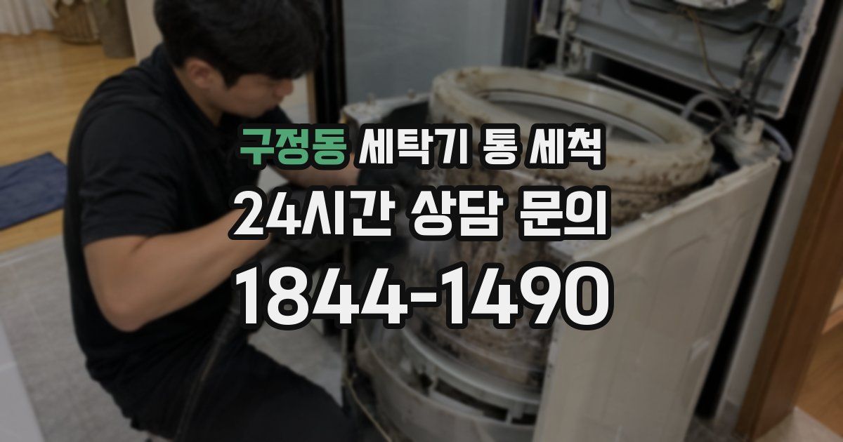 구정동 세탁기 통 세척