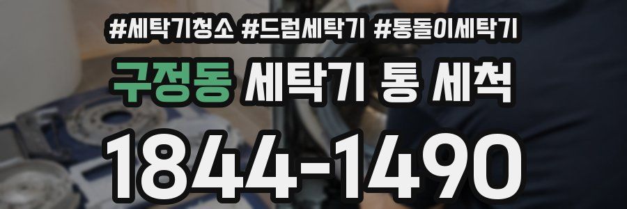 구정동 세탁기 통 세척