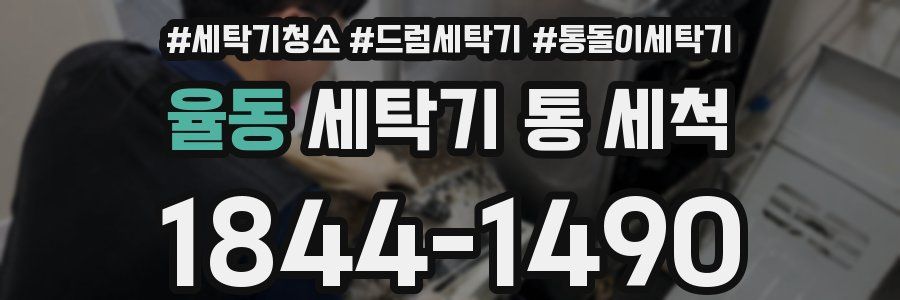 율동 세탁기 통 세척