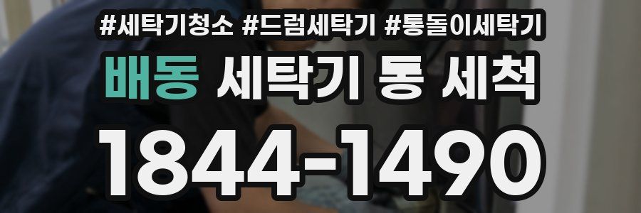 배동 세탁기 통 세척