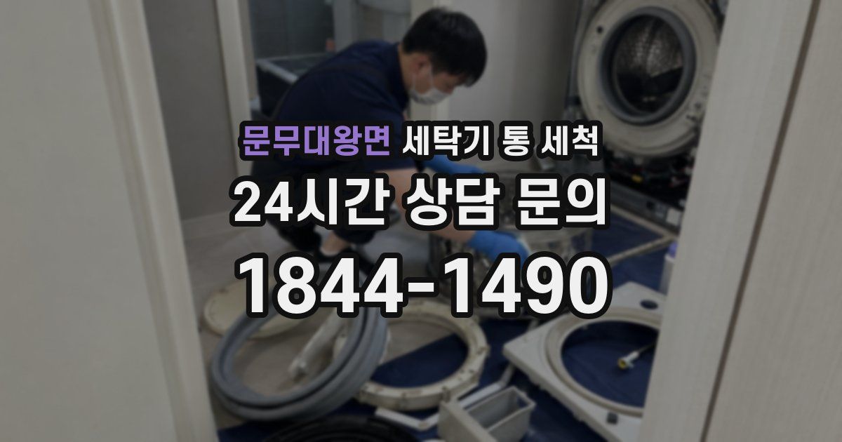 문무대왕면 세탁기 통 세척