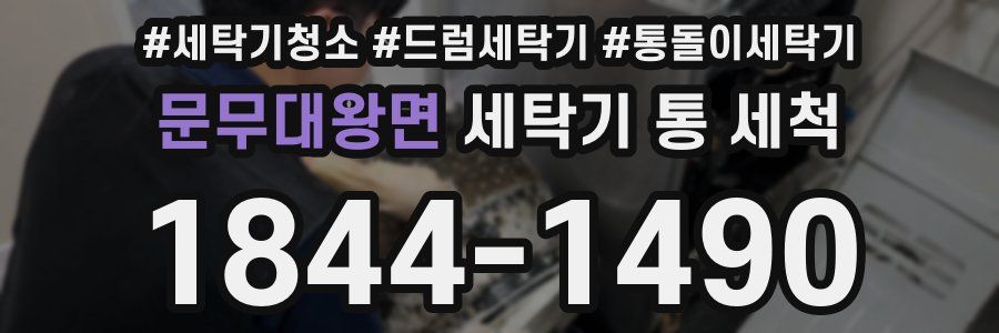 문무대왕면 세탁기 통 세척