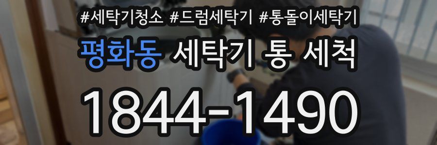 평화동 세탁기 통 세척