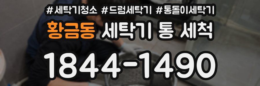 황금동 세탁기 통 세척