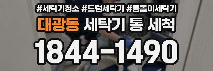 대광동 세탁기 통 세척