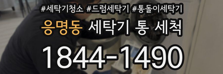 응명동 세탁기 통 세척