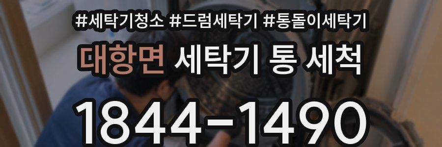 대항면 세탁기 통 세척