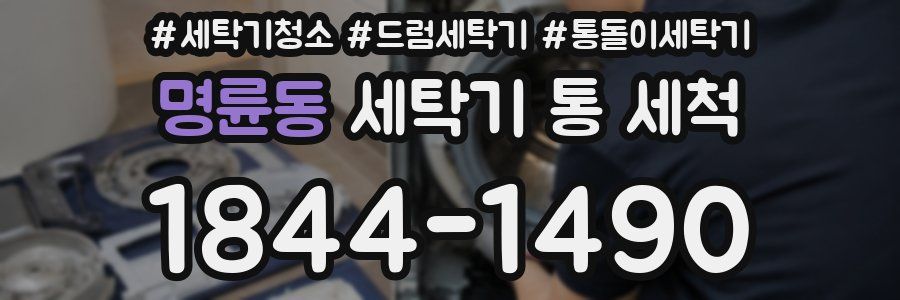 명륜동 세탁기 통 세척