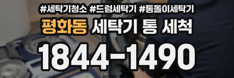 평화동 세탁기 통 세척