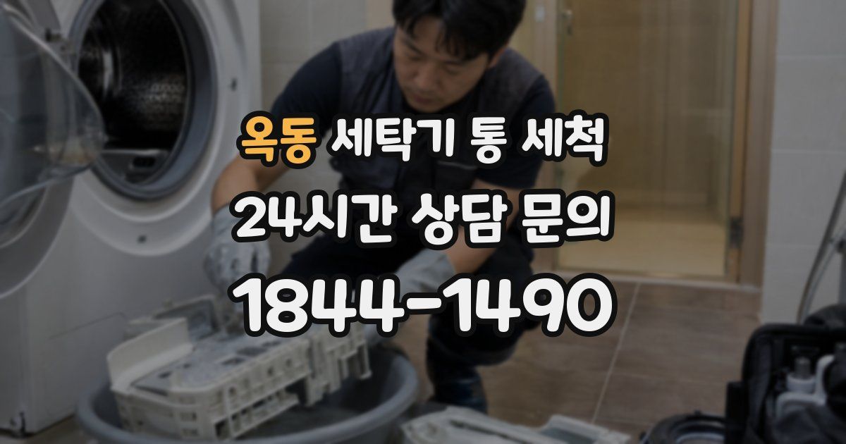 옥동 세탁기 통 세척