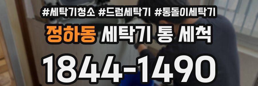 정하동 세탁기 통 세척
