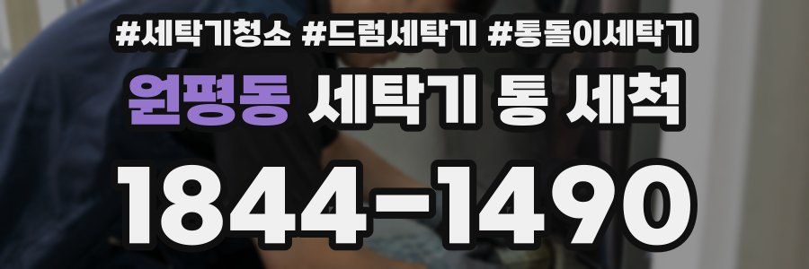 원평동 세탁기 통 세척