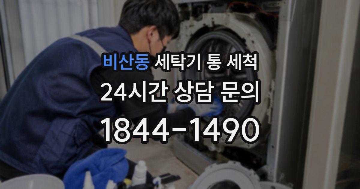 비산동 세탁기 통 세척