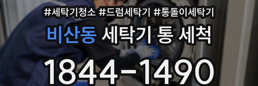 비산동 세탁기 통 세척