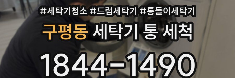 구평동 세탁기 통 세척