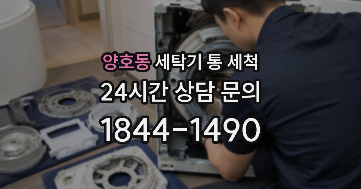 양호동 세탁기 통 세척