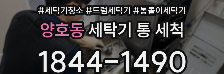 양호동 세탁기 통 세척