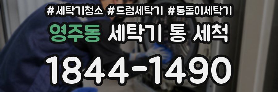영주동 세탁기 통 세척