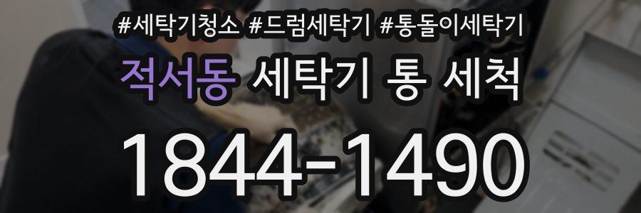 적서동 세탁기 통 세척