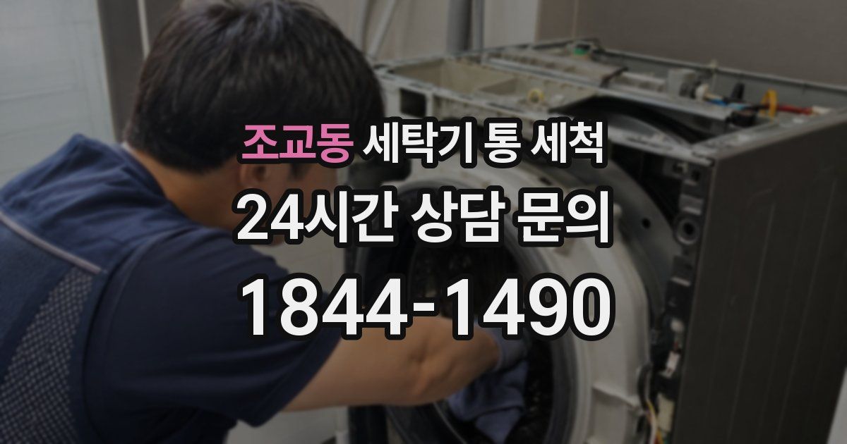 조교동 세탁기 통 세척