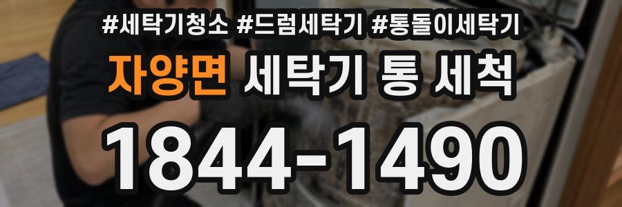 자양면 세탁기 통 세척