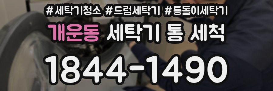 개운동 세탁기 통 세척
