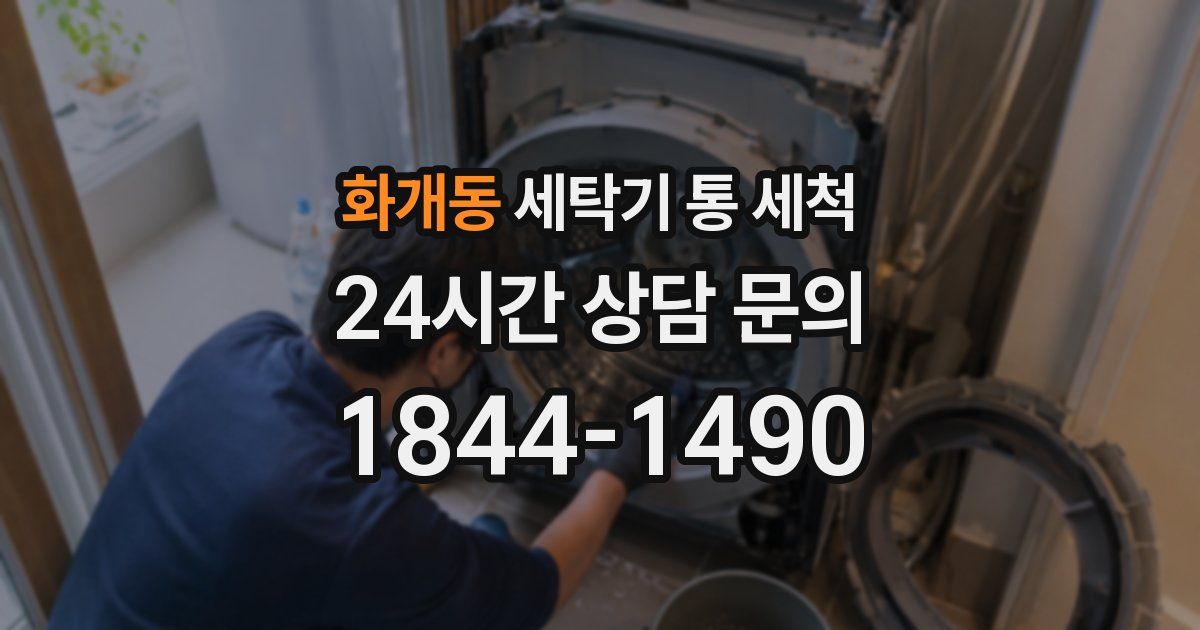 화개동 세탁기 통 세척