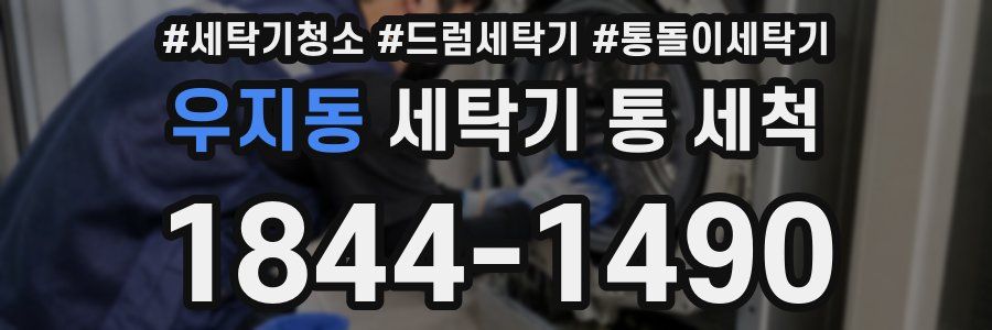 우지동 세탁기 통 세척