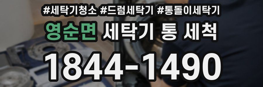 영순면 세탁기 통 세척