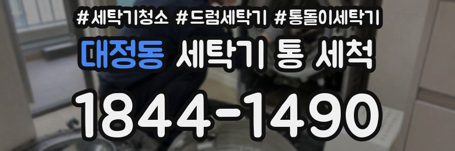 대정동 세탁기 통 세척