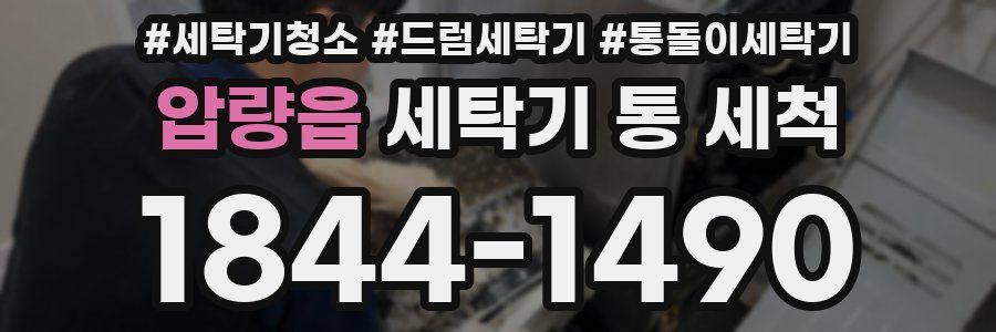 압량읍 세탁기 통 세척