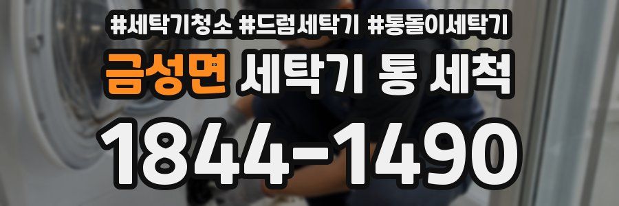 금성면 세탁기 통 세척
