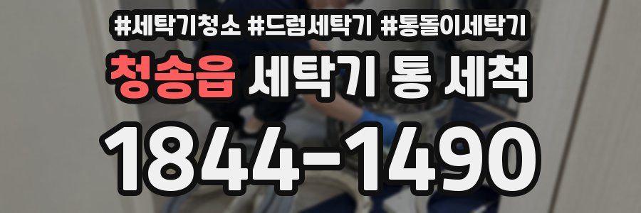 청송읍 세탁기 통 세척