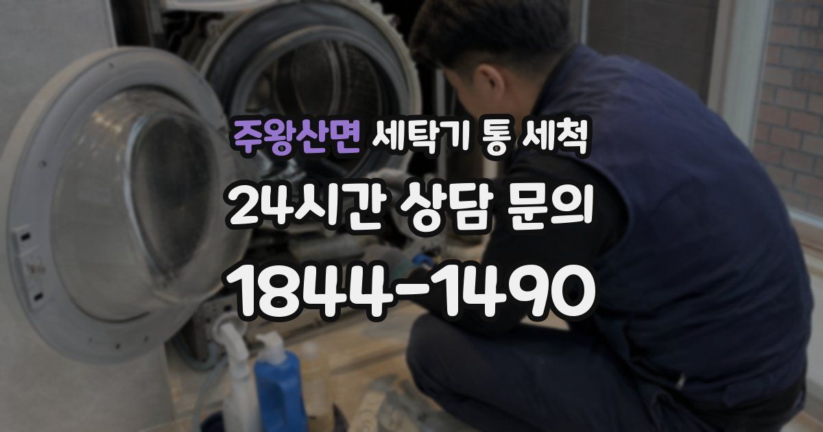 주왕산면 세탁기 통 세척