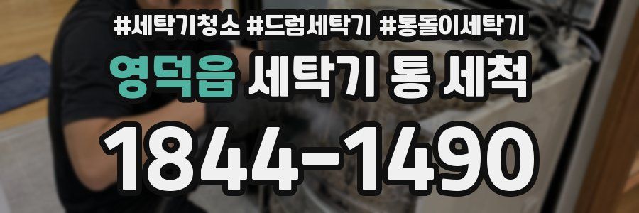 영덕읍 세탁기 통 세척