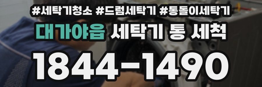 대가야읍 세탁기 통 세척