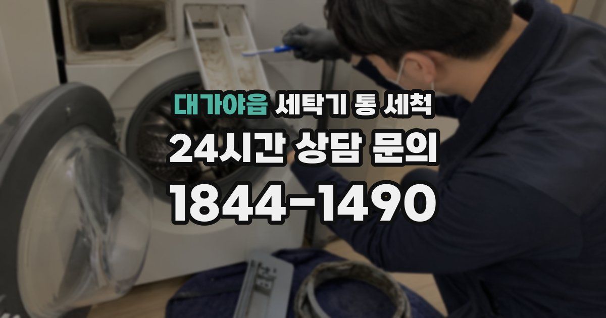 대가야읍 세탁기 통 세척