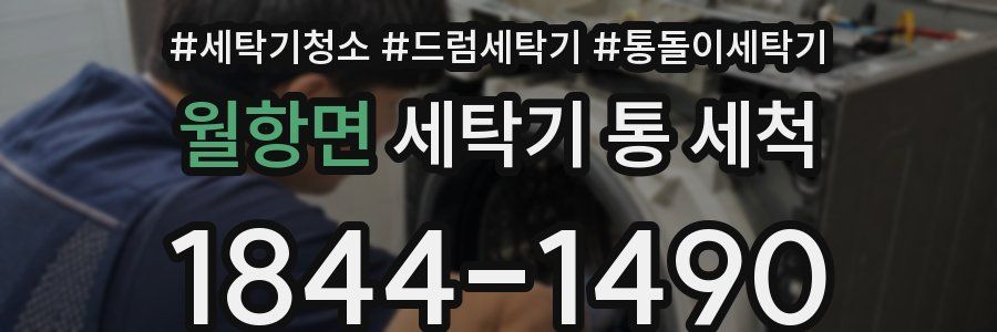 월항면 세탁기 통 세척