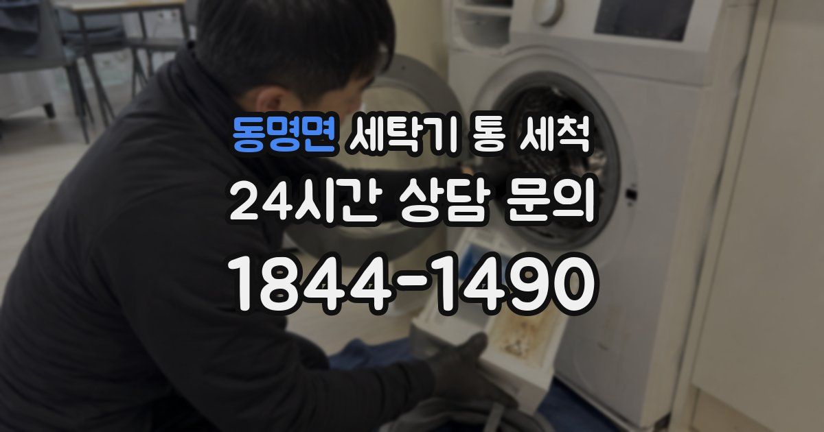 동명면 세탁기 통 세척