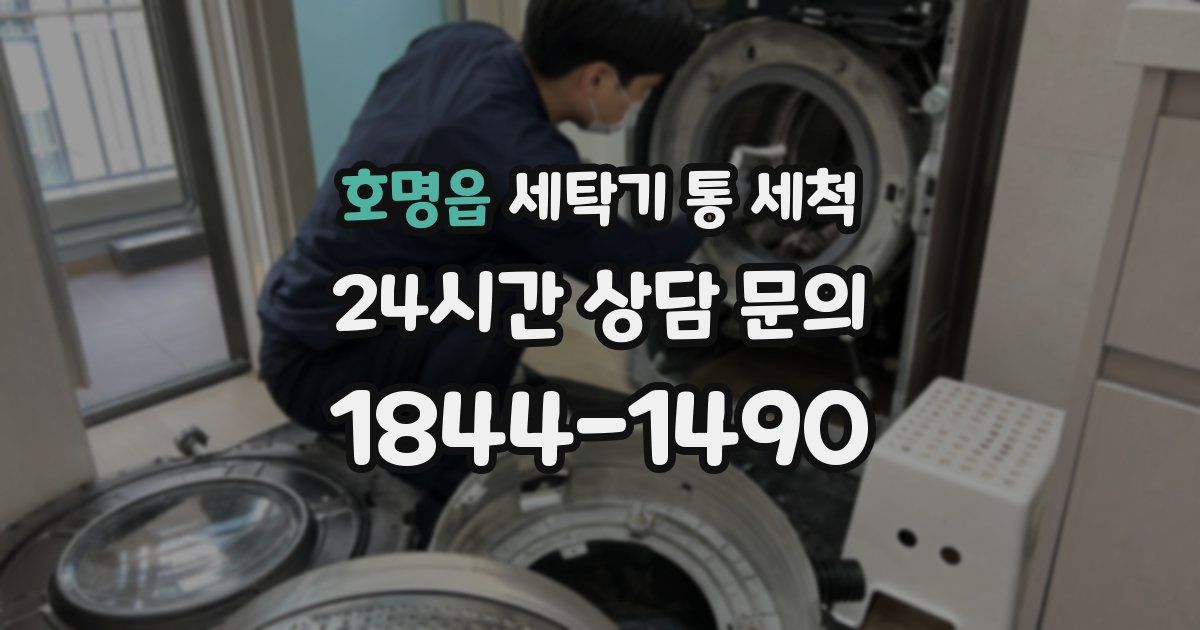 호명읍 세탁기 통 세척