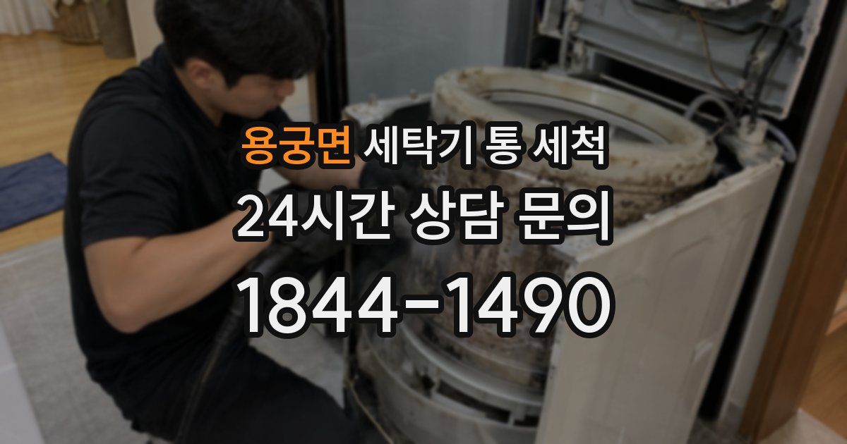 용궁면 세탁기 통 세척