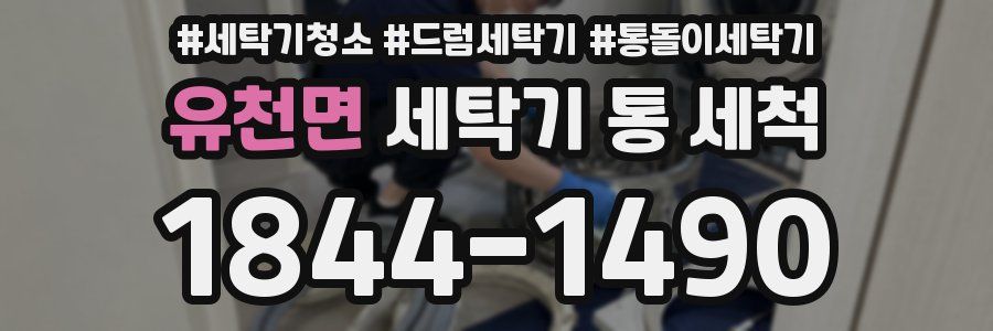 유천면 세탁기 통 세척