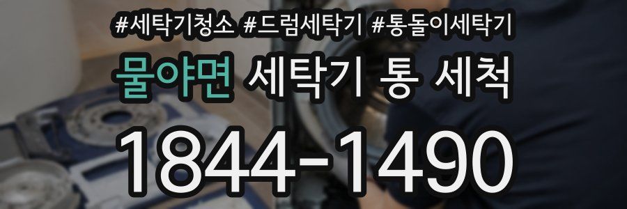 물야면 세탁기 통 세척
