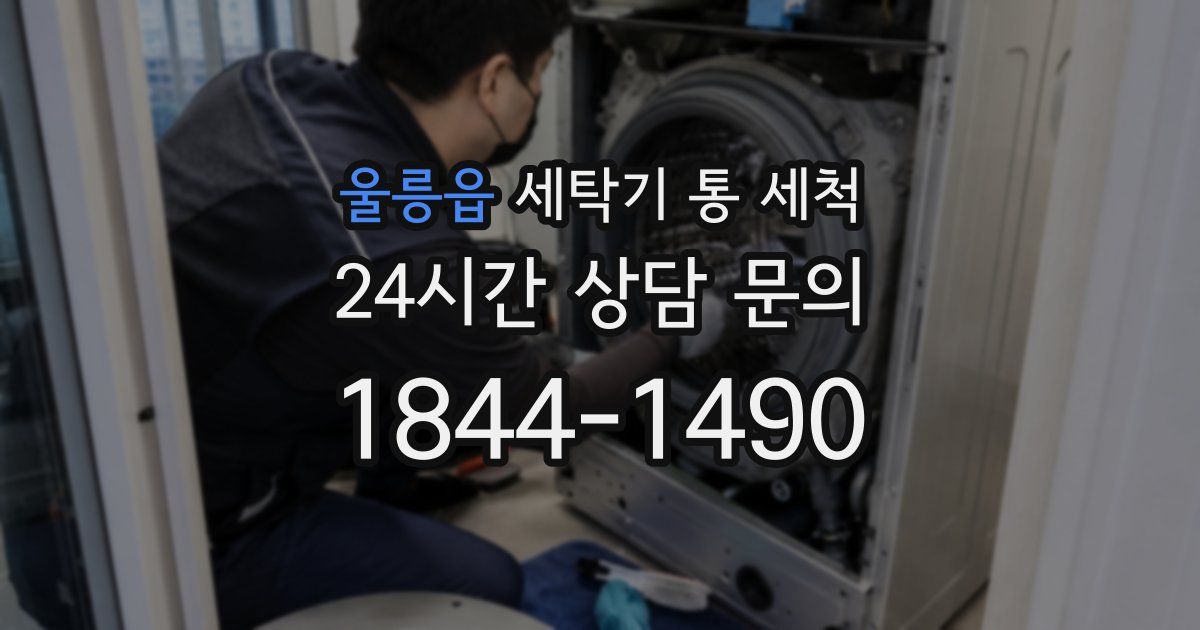 울릉읍 세탁기 통 세척