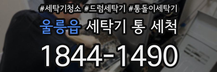 울릉읍 세탁기 통 세척