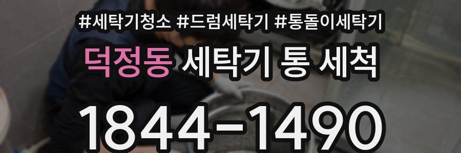 덕정동 세탁기 통 세척